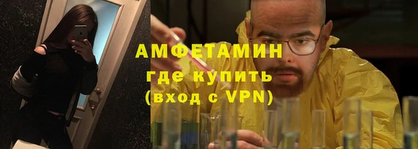прущие грибы Балабаново