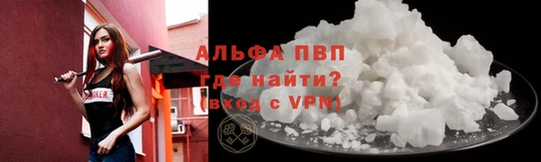 прущие грибы Балабаново