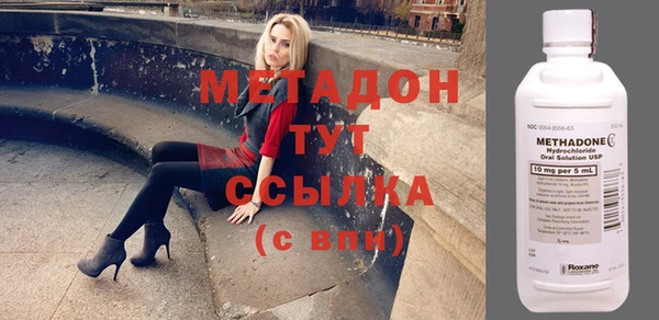 прущие грибы Балабаново