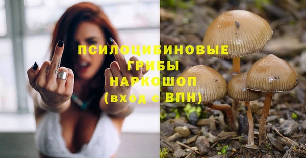mix Аркадак